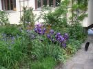 Ferienwohnung Weber Nähe Bergpark und Elena-Klinik in Kassel